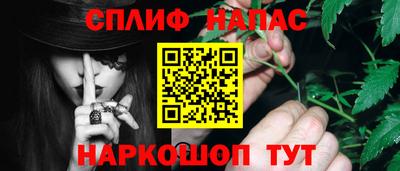 гидропоника Дубна