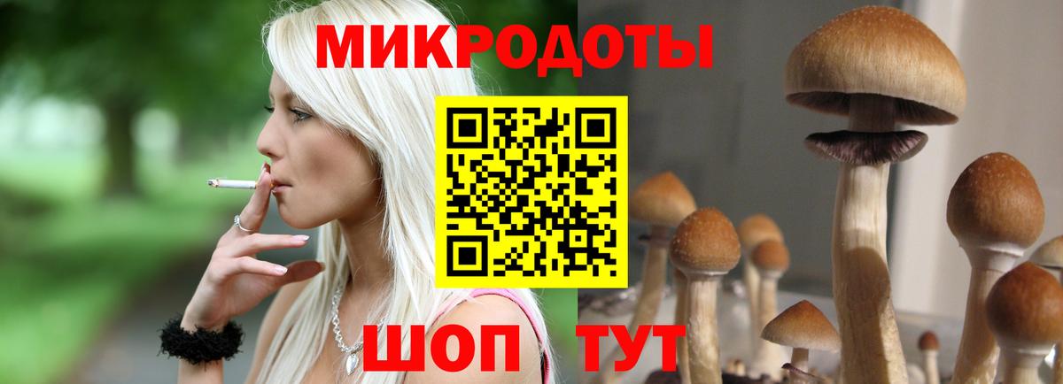 как найти   Вход с VPN  Медногорск  Галлюциногенные грибы ЛСД 